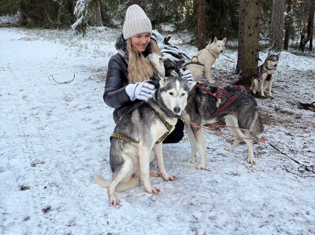 Arctic Expedition-埃斯波必去景点