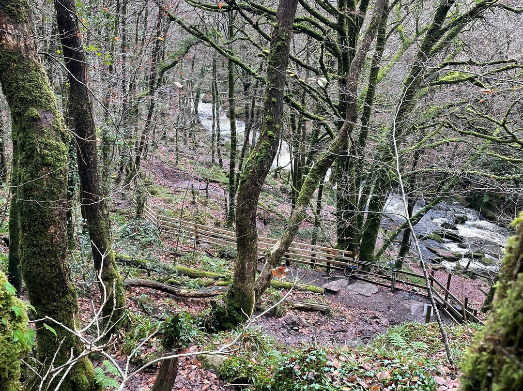 Golitha Falls-利斯卡德必去景点