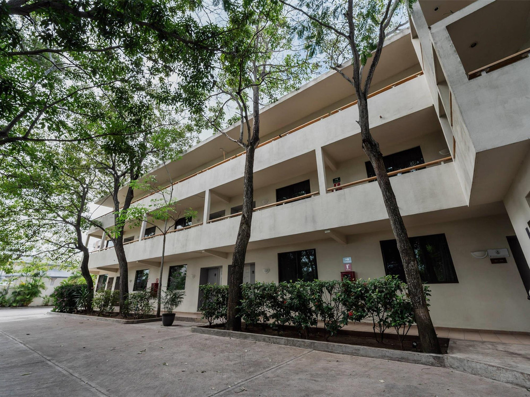 Comfort Inn Tampico主图