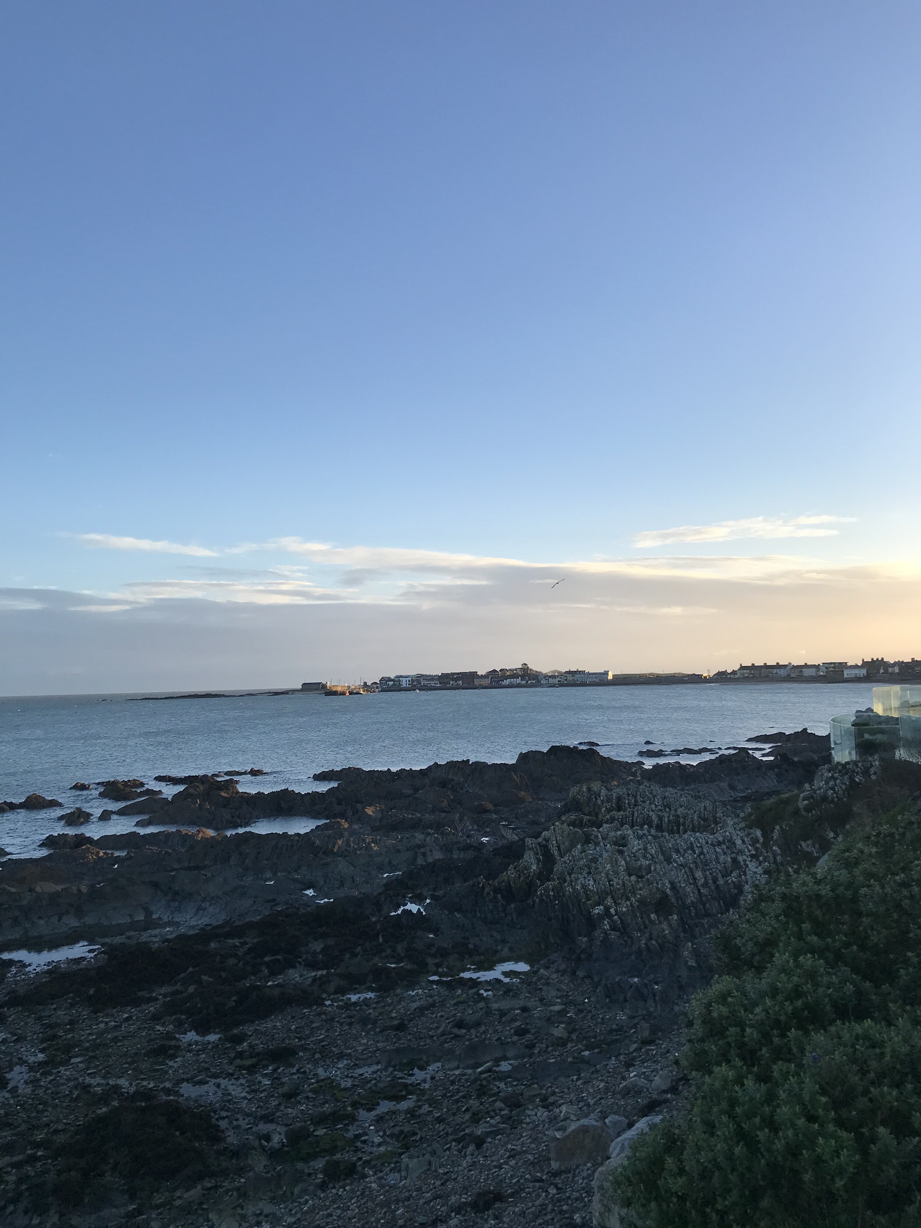 The White Cottages-官方