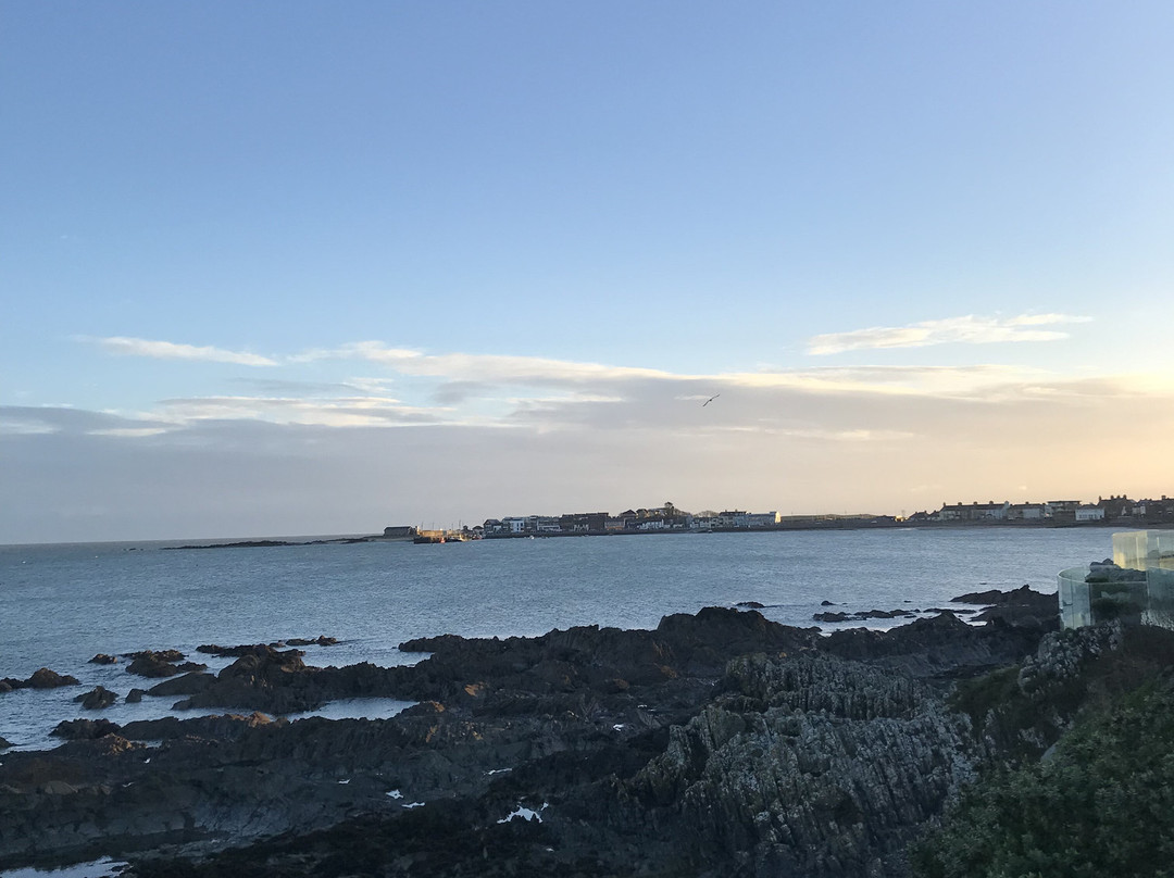 The White Cottages主图