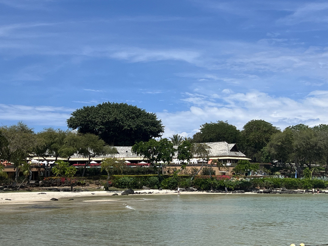 Euro-Divers Albion-阿尔比恩必去景点