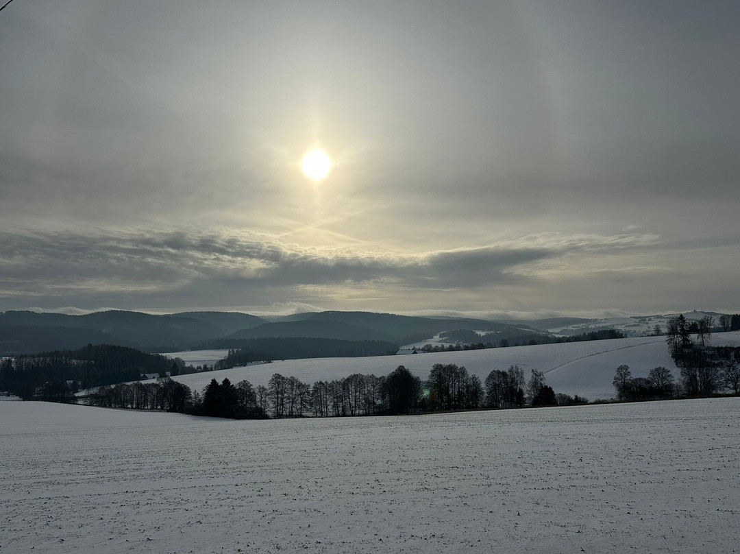 Waldhotel Kreuztanne主图