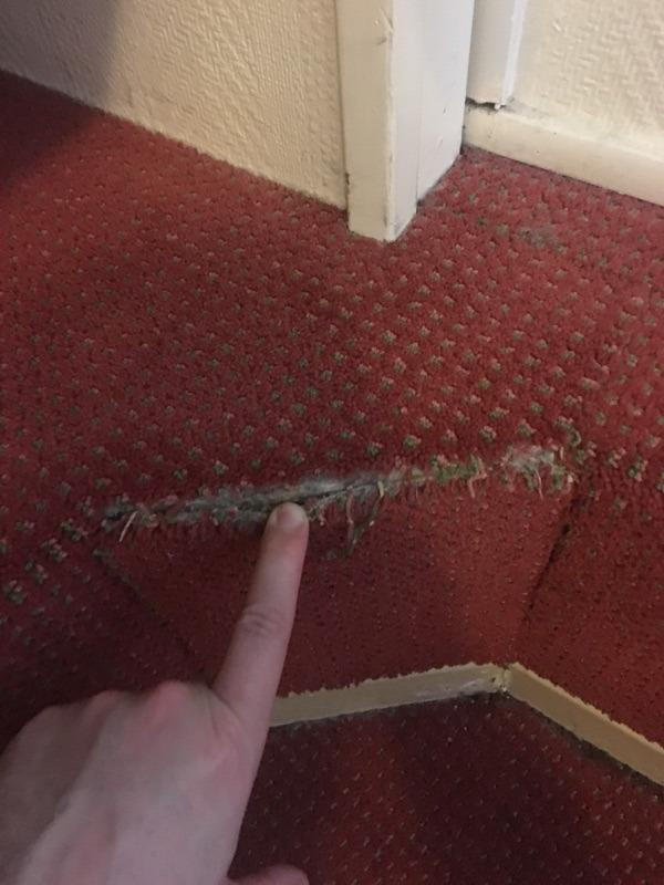 Saint-Laurent-sur-Saone酒店住宿-Logis Hôtel de Bourgogne