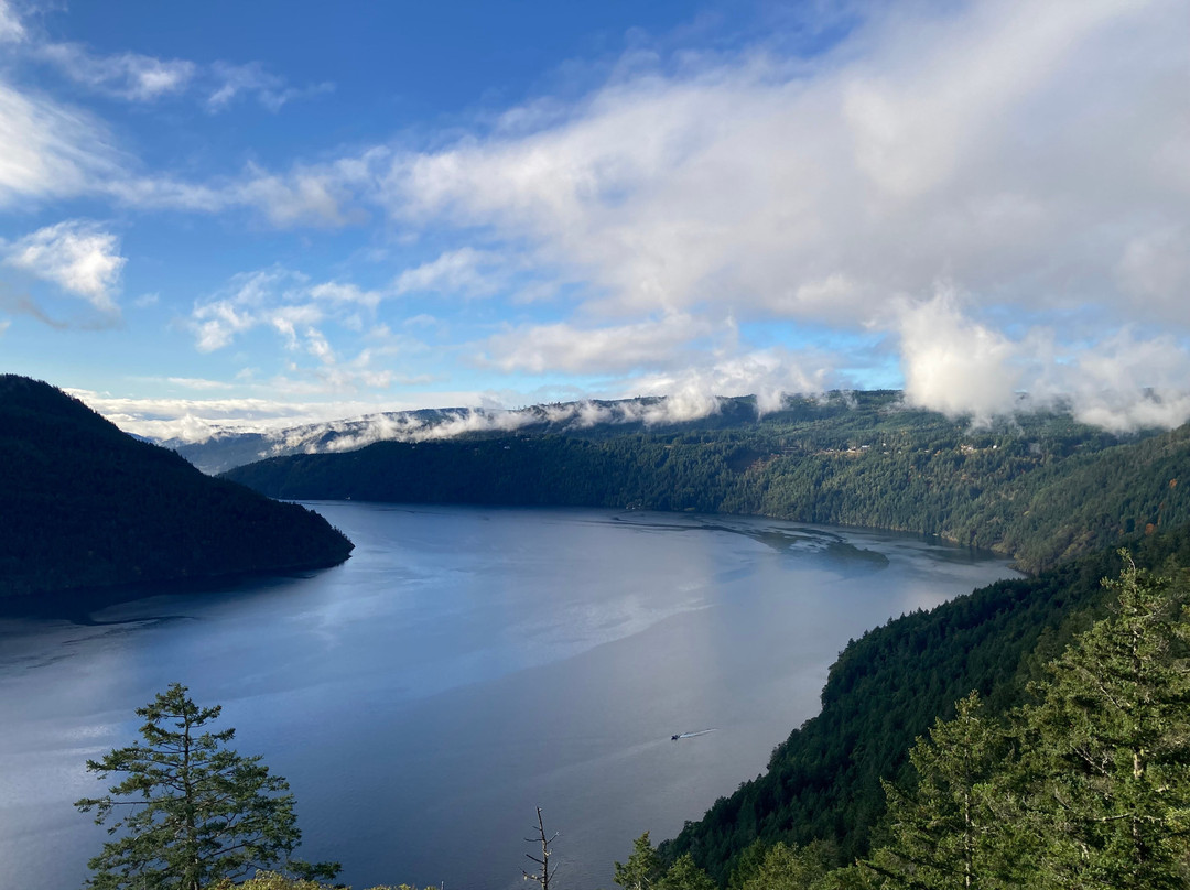 Malahat Skywalk-Malahat必去景点