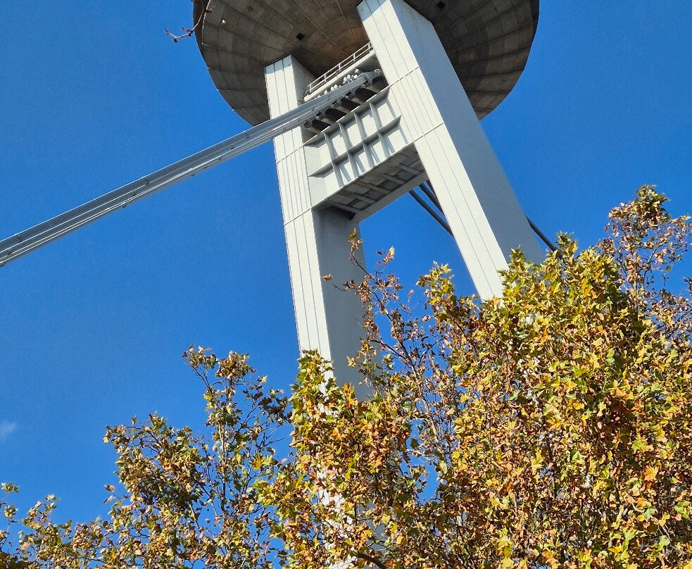 Sad Janka Kráľa-布拉迪斯拉发必去景点