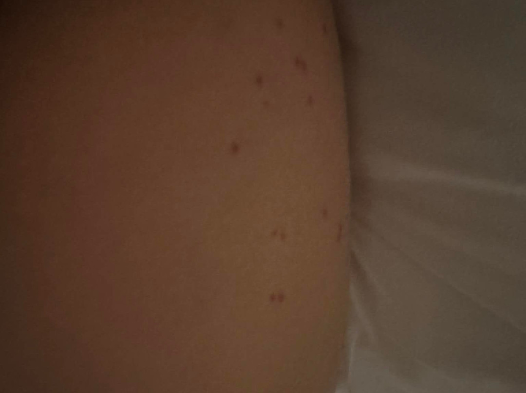 Springhill Suites By Marriott Orlando At Flamingo Crossings Town Center / Western Entrance主图