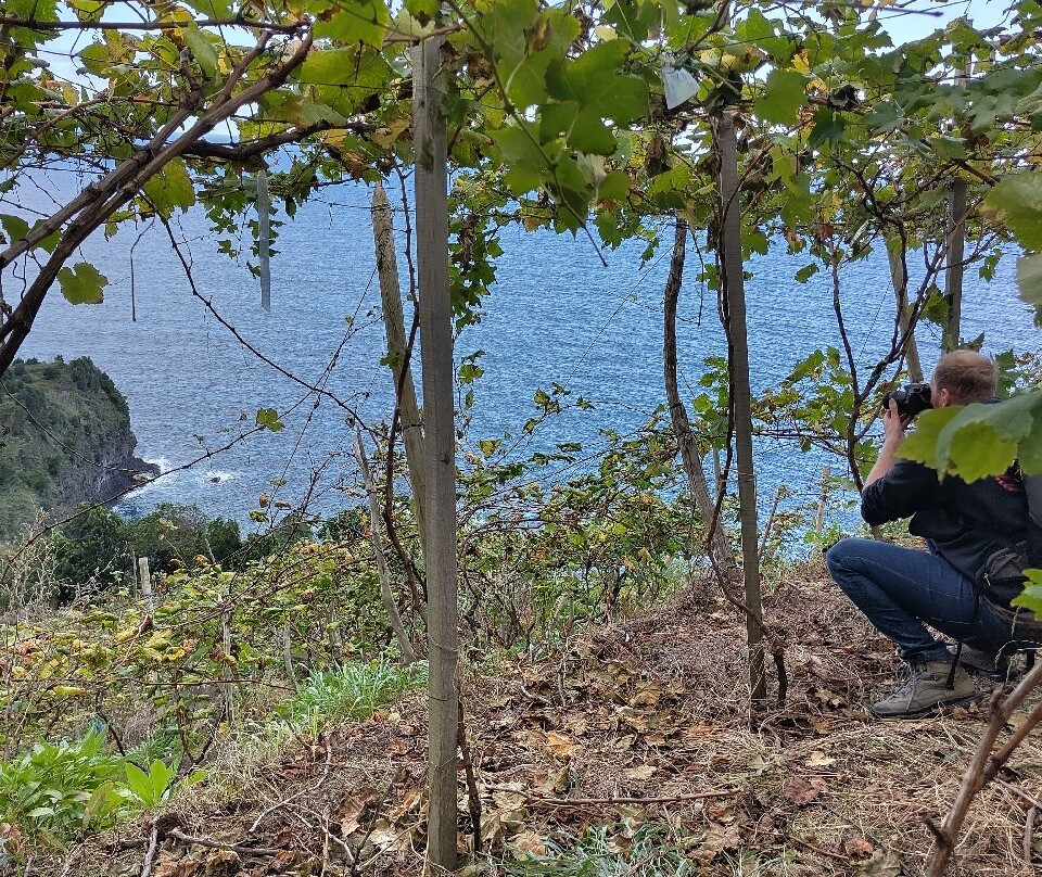 Vinha Do Véu Da Noiva-莫尼什港必去景点