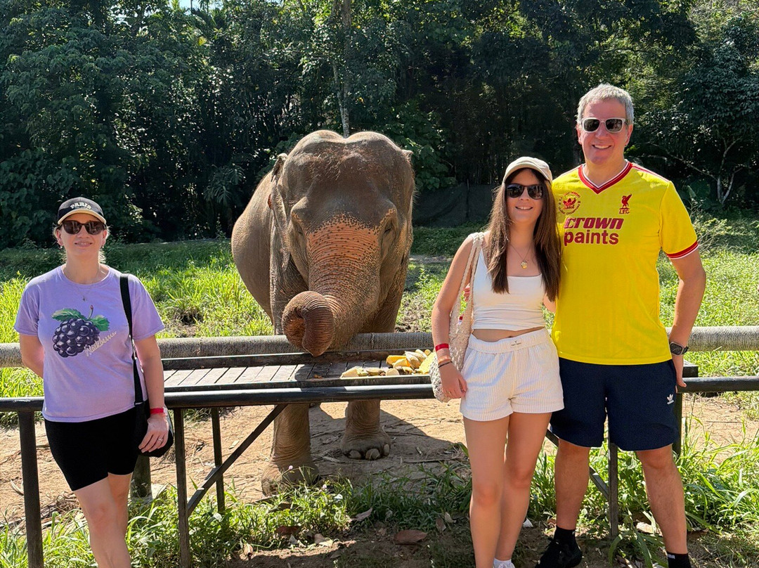 Phuket Elephant Nature Reserve-他朗必去景点