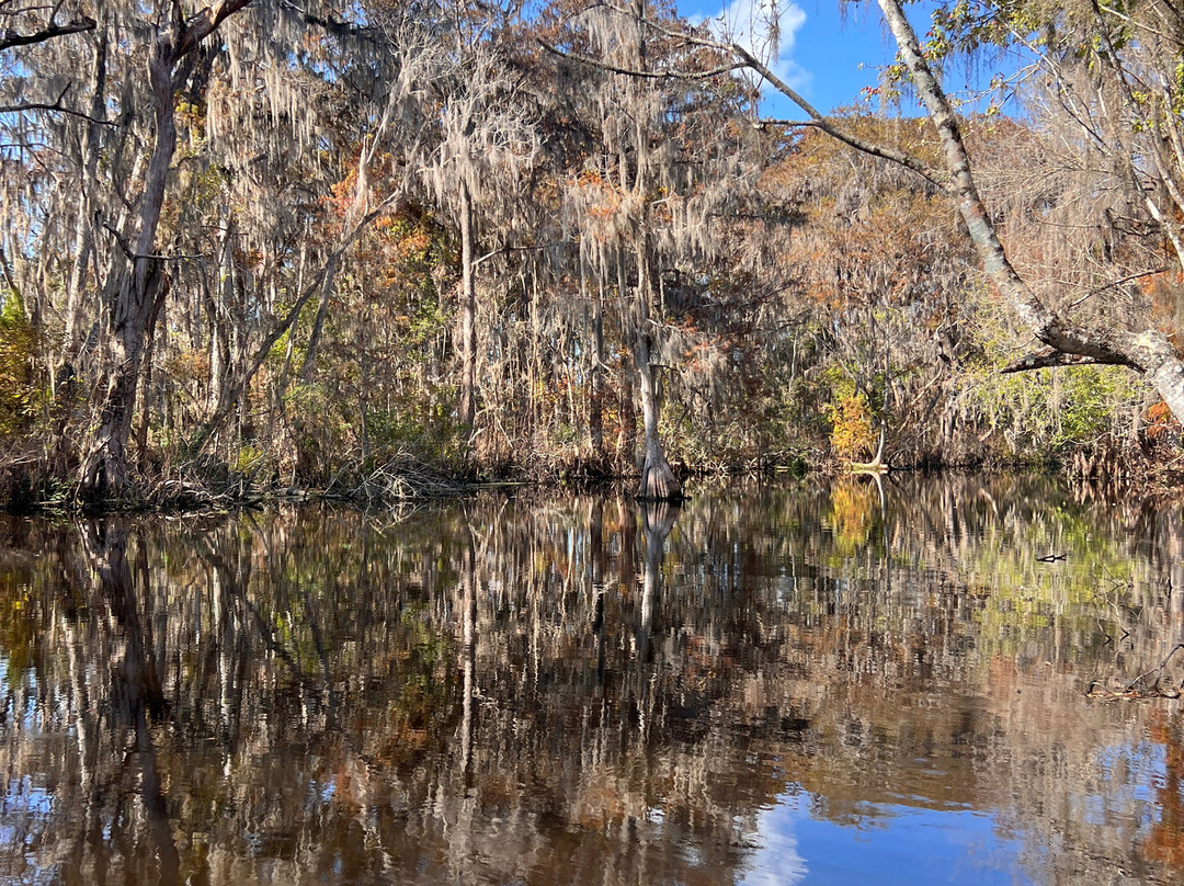 Swamp Fever Airboat Adventures-Lake Panasoffkee必去景点