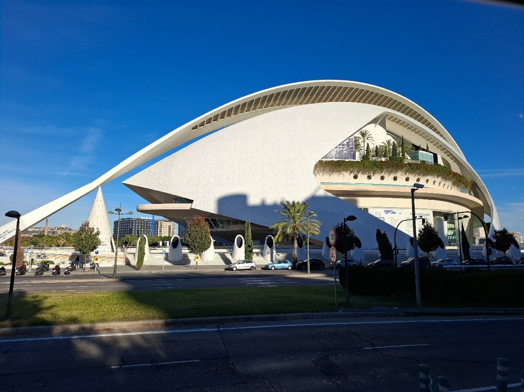 Palacio de las Artes Reina Sofía-巴伦西亚必去景点