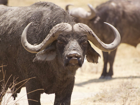 Lune Adventure Ltd-莫西必去景点