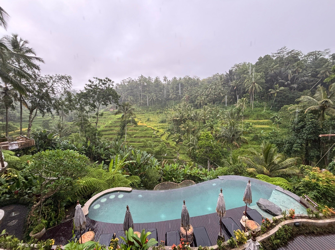 Milton Vineyard-斯旺西必去景点