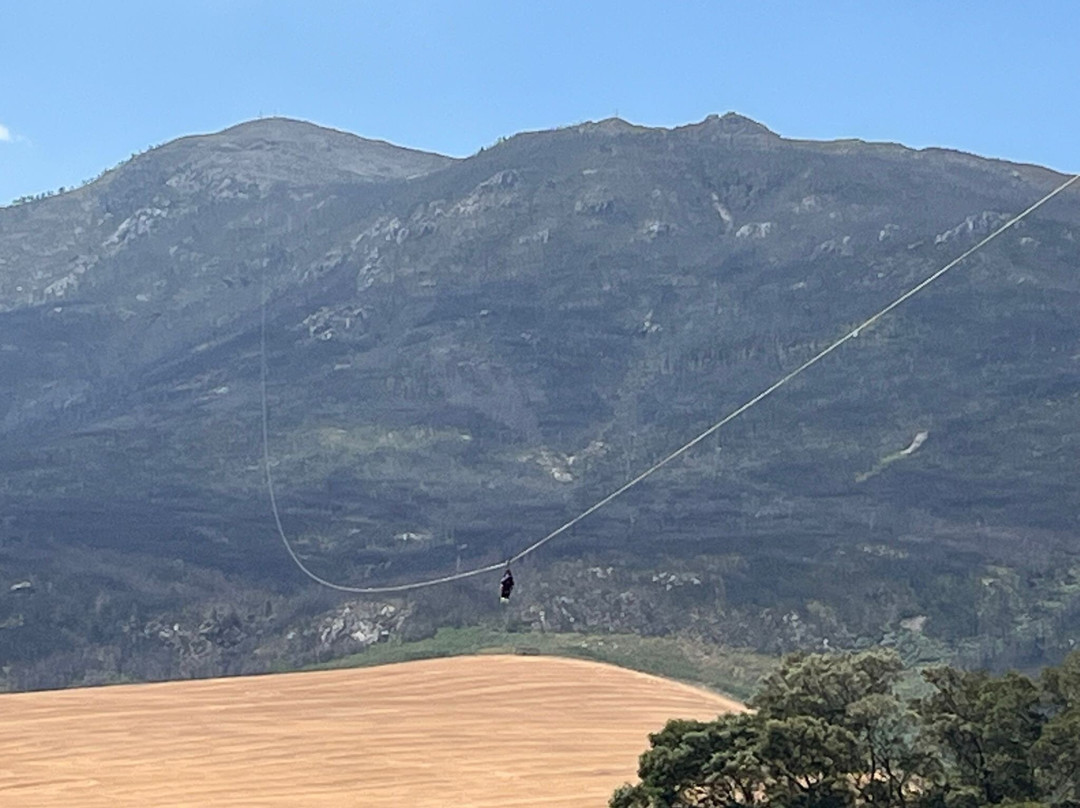 K3 Zipline Sa Forest Adventures-卡里登必去景点