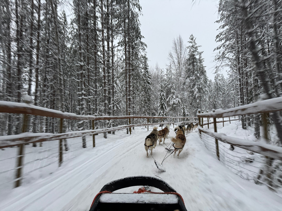 Arctic Circle Husky Park-罗瓦涅米必去景点