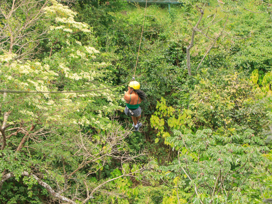 Prime Tours Costa Rica-利比里亚必去景点