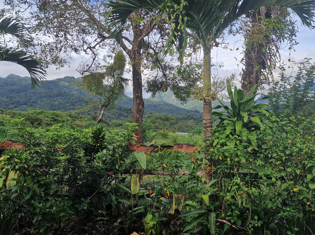 Coffee Mountain Inn主图