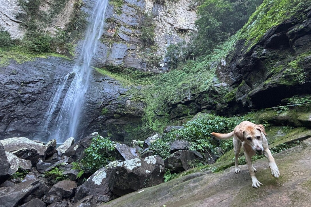 Cascata da Forqueta-Maquine必去景点