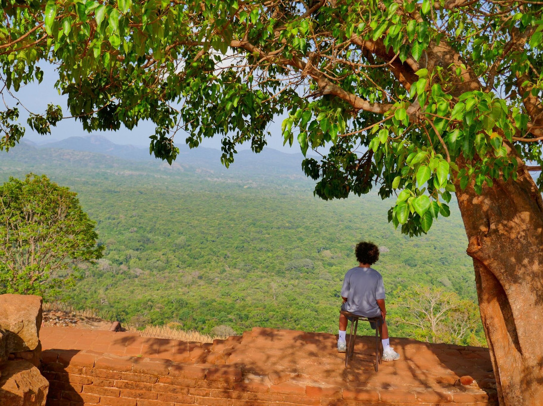 Mon Beau Trip-Falicon必去景点