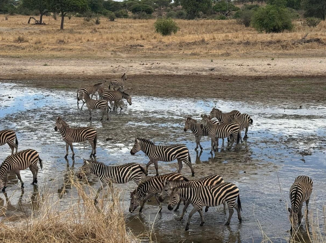Altezza Travel-莫西必去景点