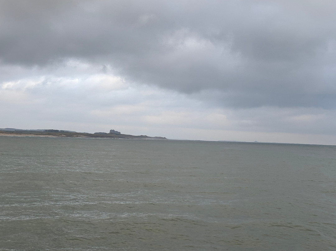 Billy Shiel's Boat Trips-Seahouses必去景点