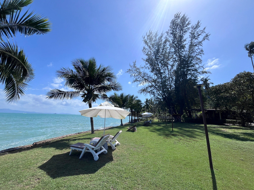 Better View Resort主图