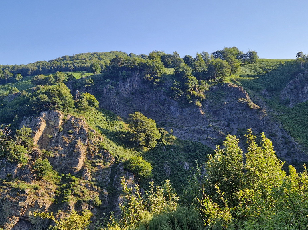 Mont Gerbier de Jonc-Saint-Martial必去景点