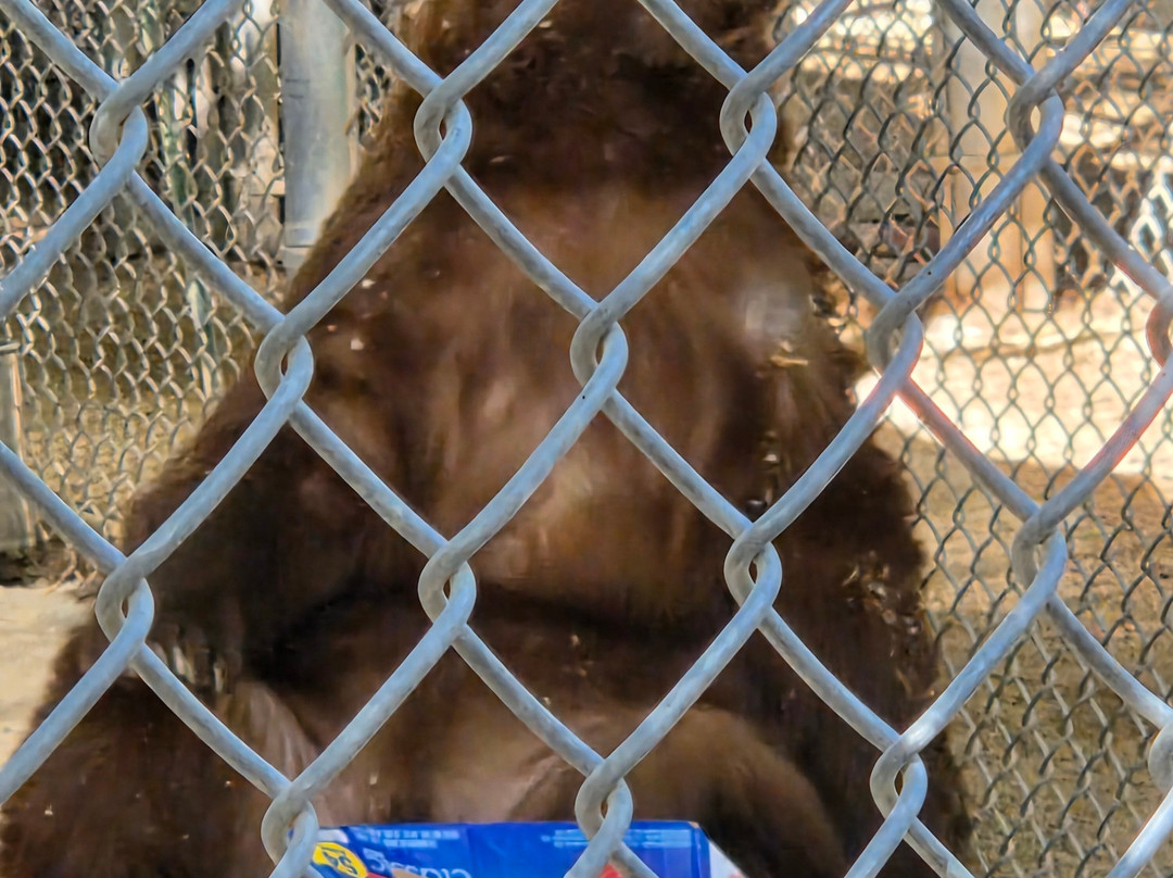 Southwest Wildlife Conservation Center-斯科茨代尔必去景点