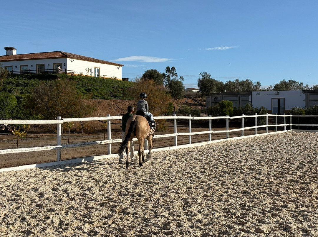 Vila Galé Alentejo Vineyards主图