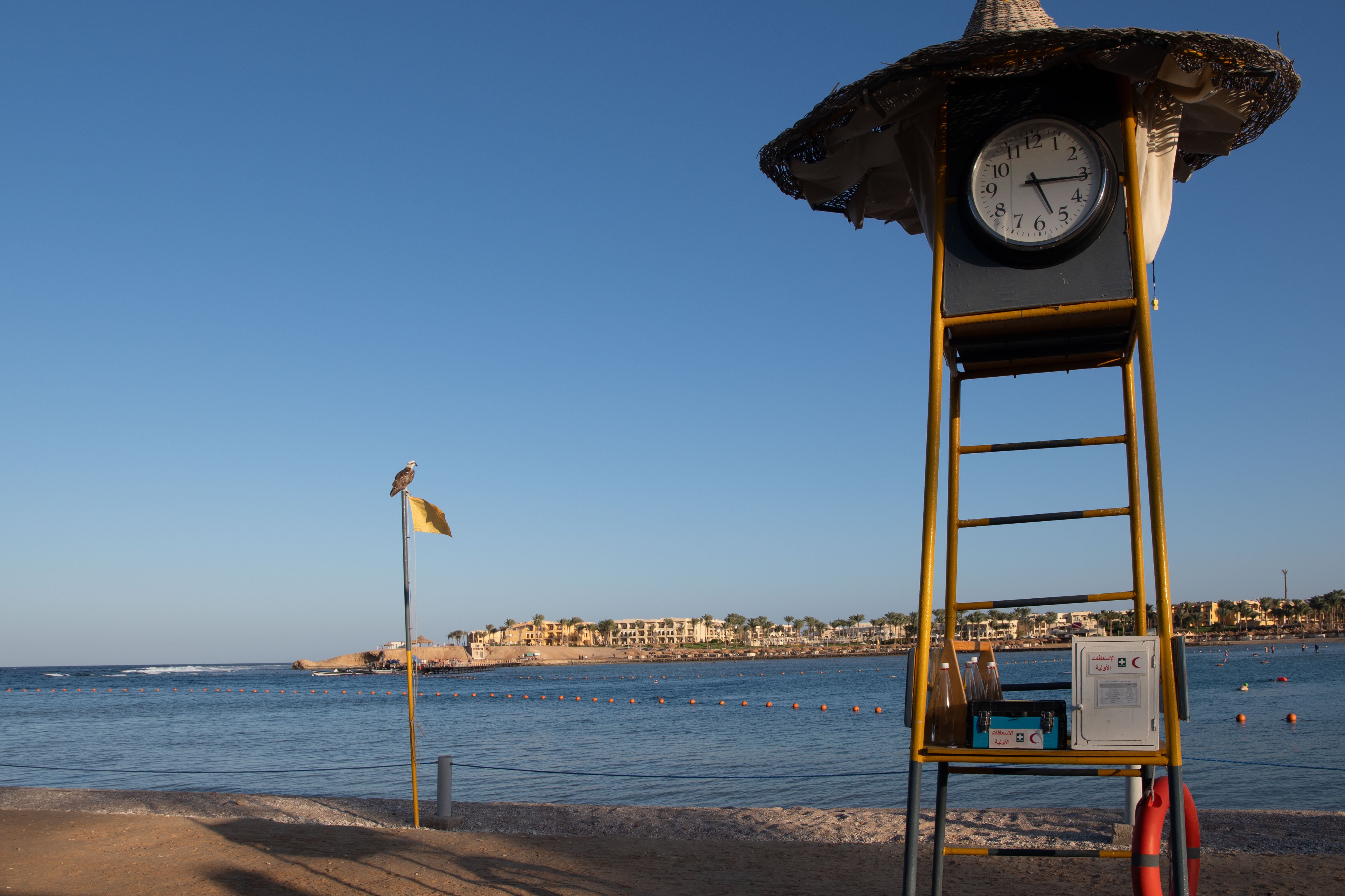 Steigenberger Coraya Beach-泳池