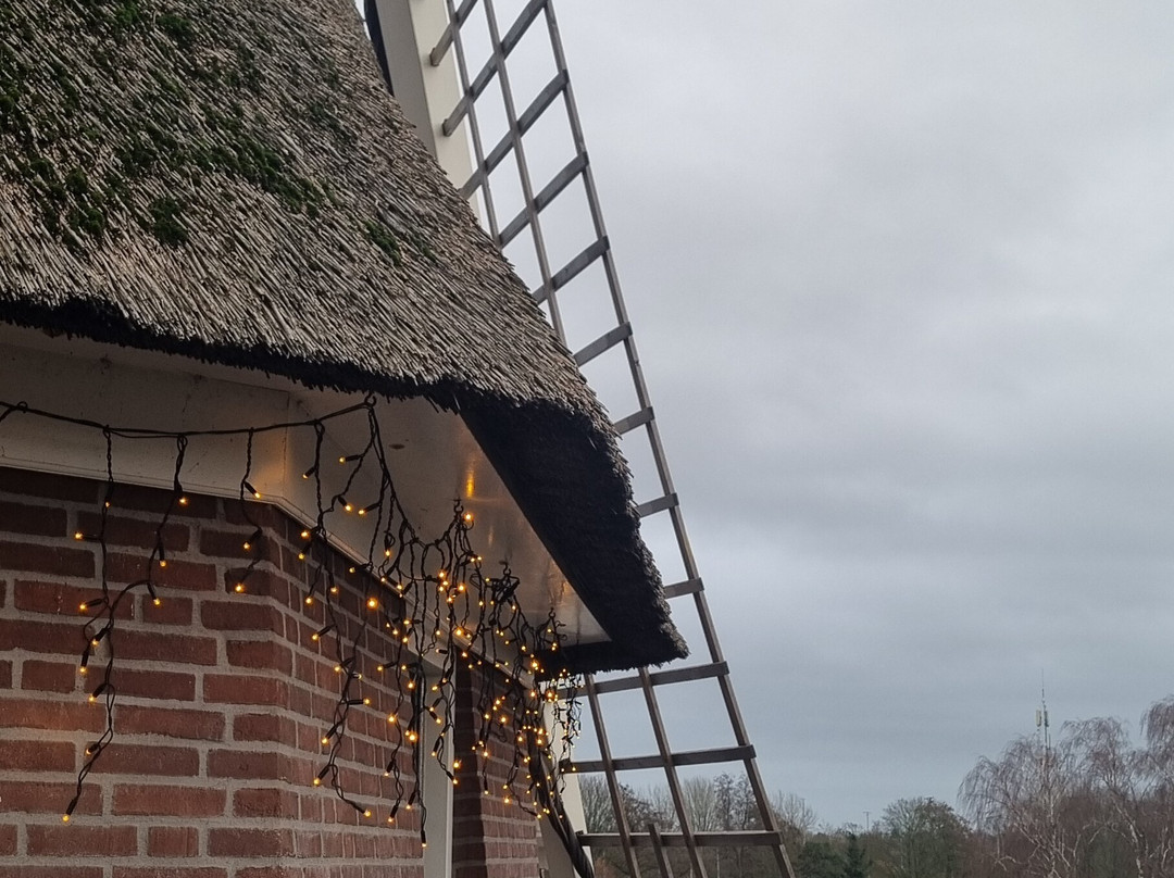 Molen Van Sloten-阿姆斯特丹必去景点