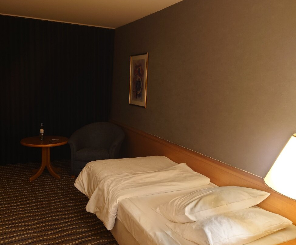 马格德堡玛丽蒂姆酒店主图