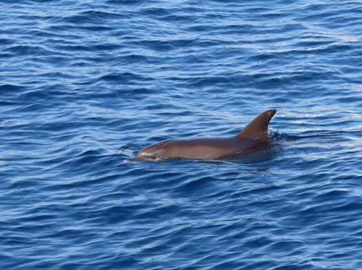 Erlebnis Ägypten-Safaga必去景点