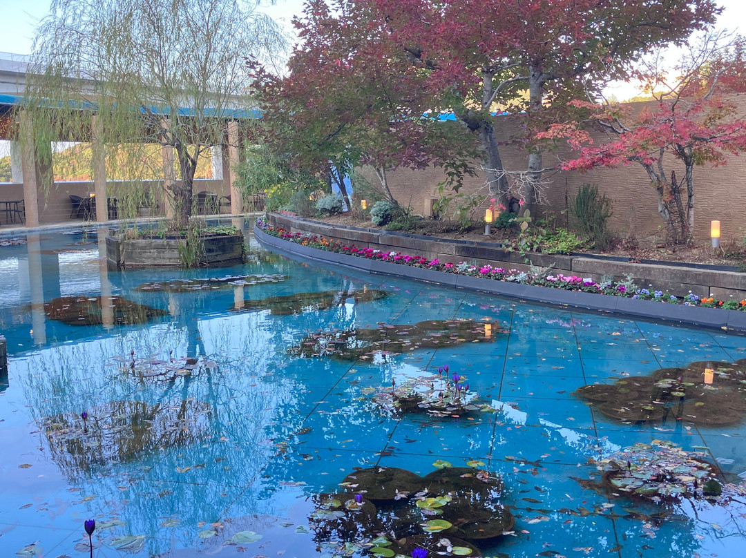 Otsuka Museum of Art-鸣门市必去景点