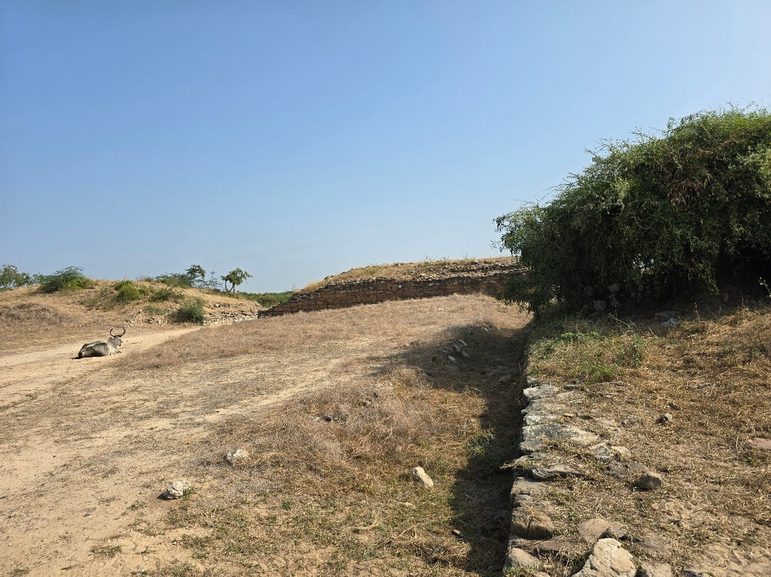 Dholavira Harappan City-Kutch必去景点