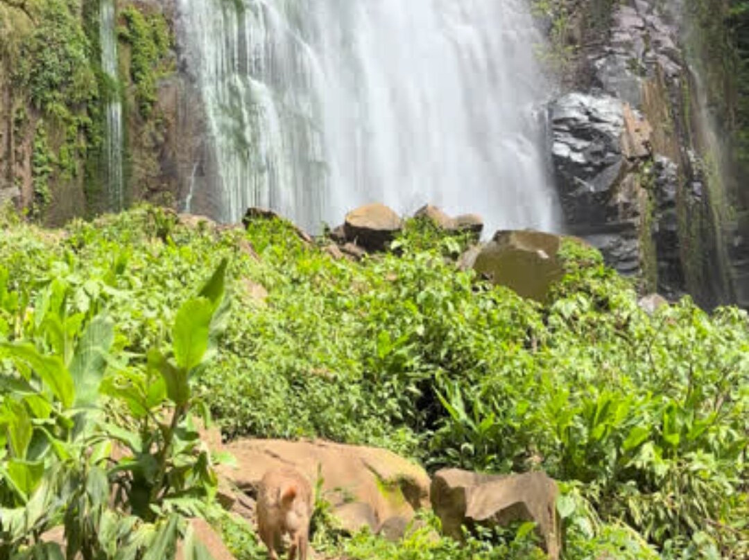 Cascata do Moinho-Progresso必去景点