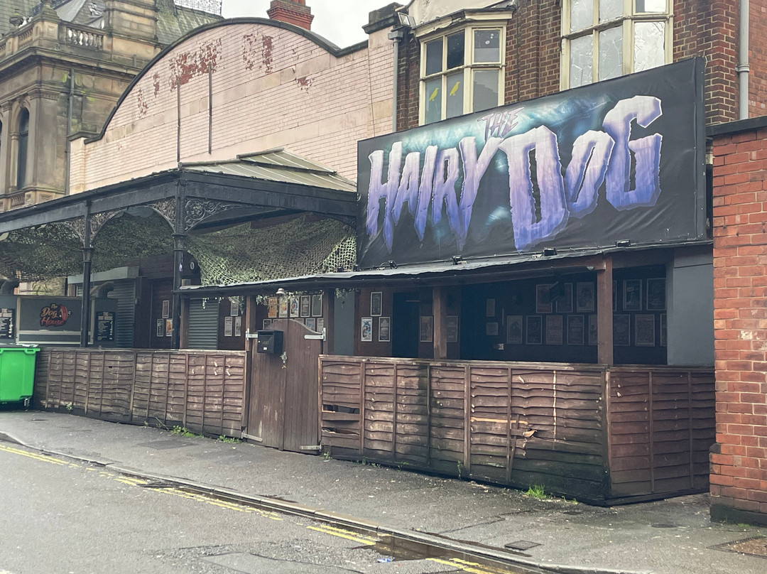 The Hairy Dog-德比必去景点