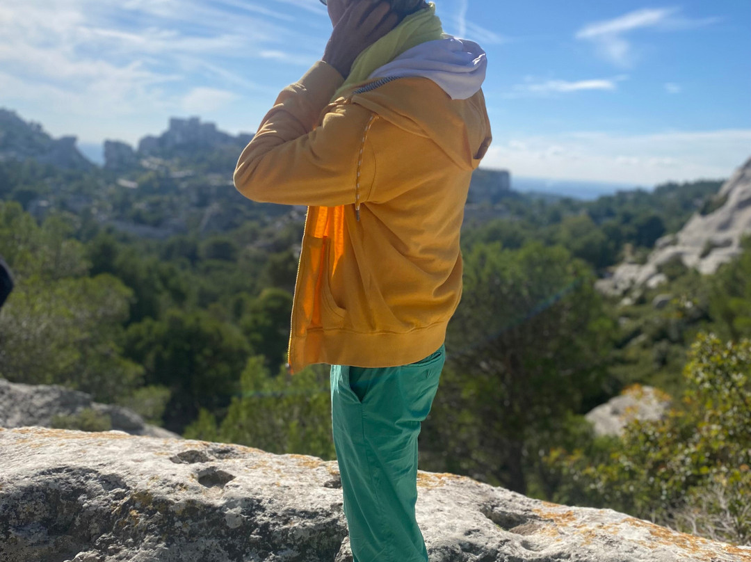 Philippe Guide in Provence-圣雷米必去景点