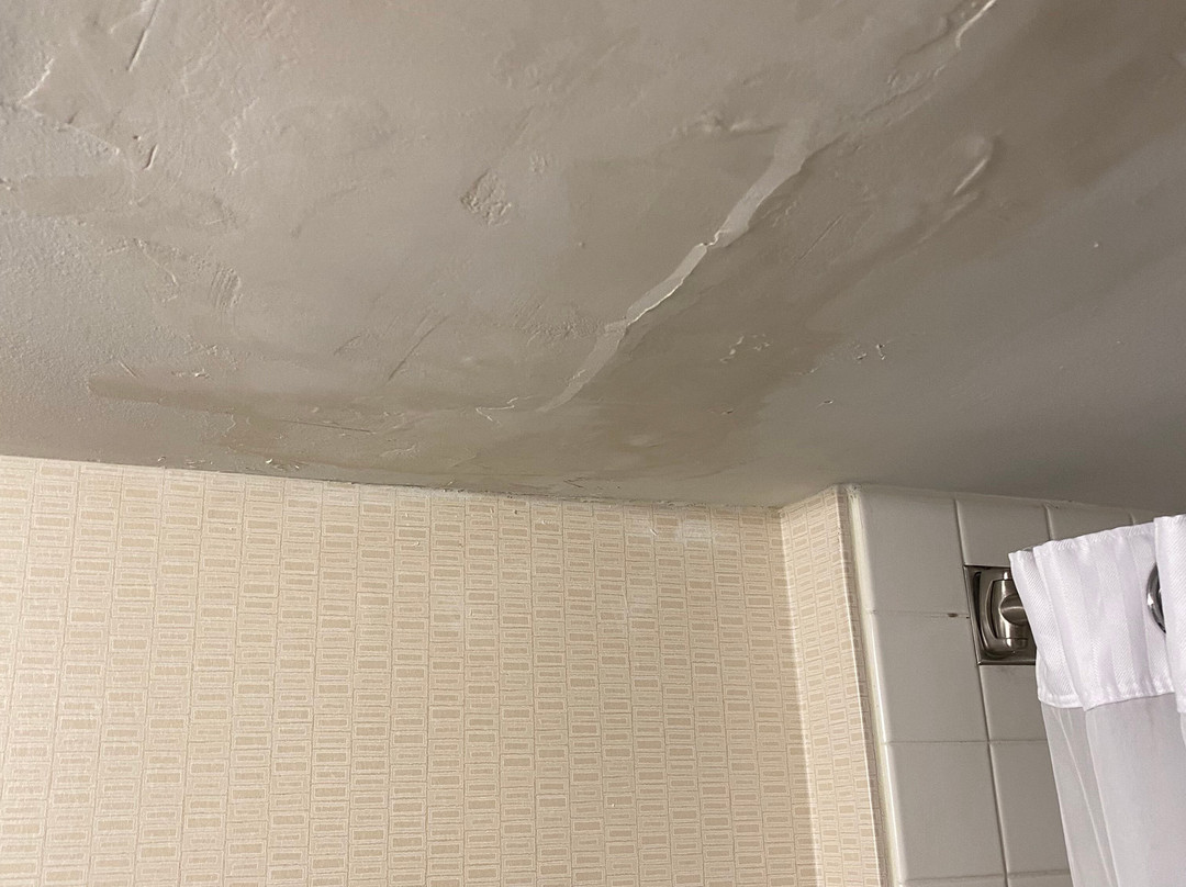 Detroit Metro Airport Marriott主图