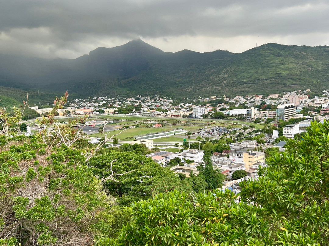 Port Louis Race Track-路易士港必去景点