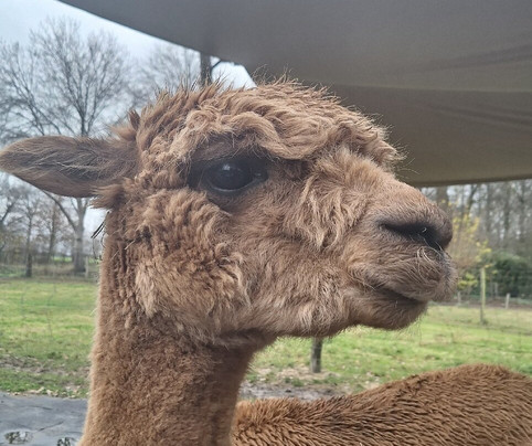 Het Land van Kempers-Geesteren必去景点