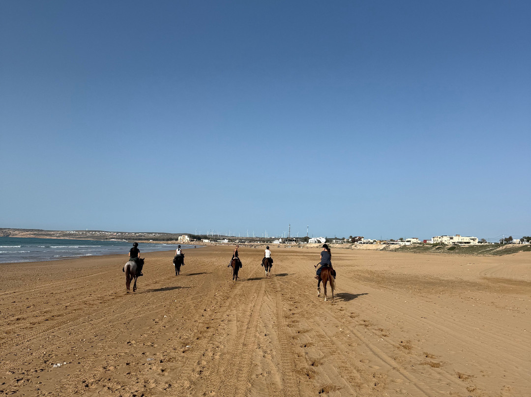 Mogador Horse-Diabat必去景点