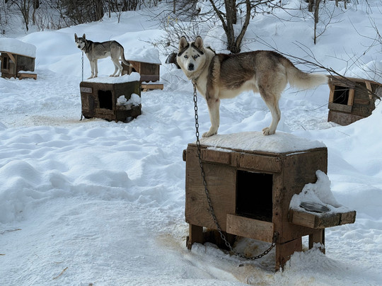 Pourvoirie du Lac Beauport-Lac-Beauport必去景点