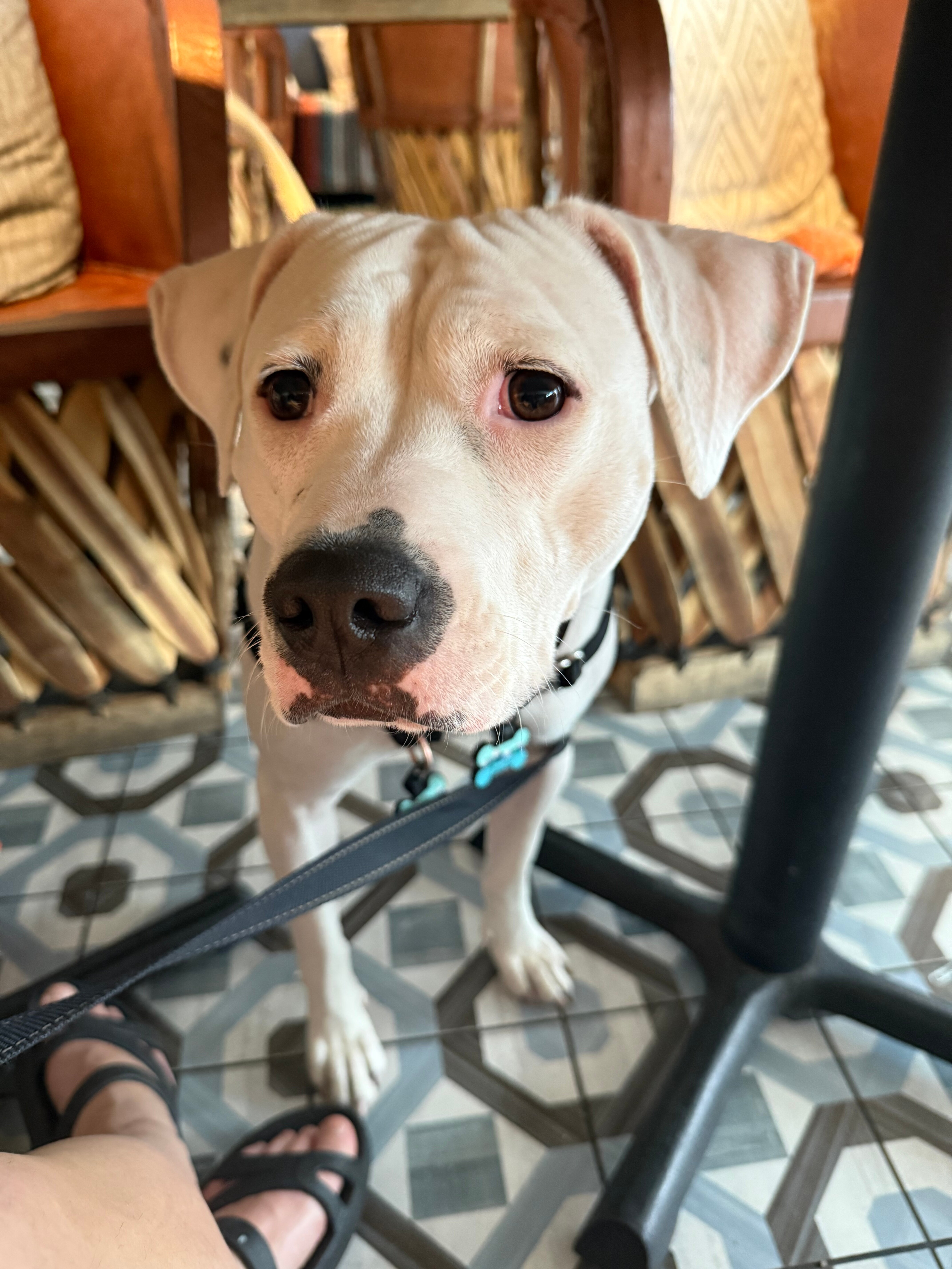 金普顿岸边酒店-官方