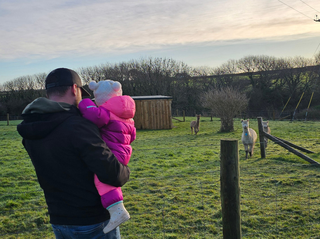 Macdonalds Farm-帕兹托必去景点