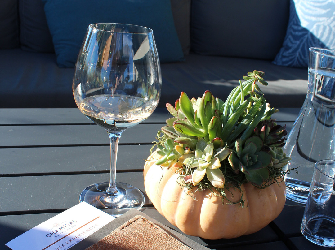 Chamisal Vineyards-圣路易斯-奥比斯波必去景点