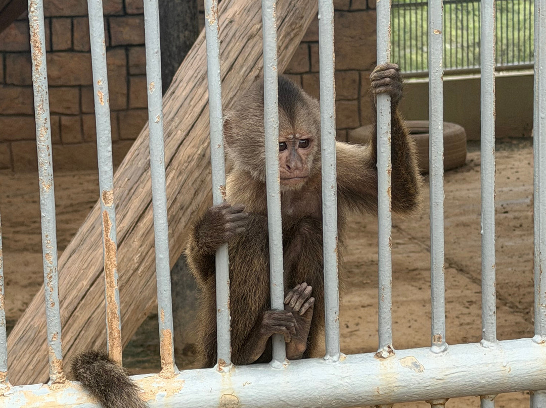 Philip's Animal Garden-Noord必去景点