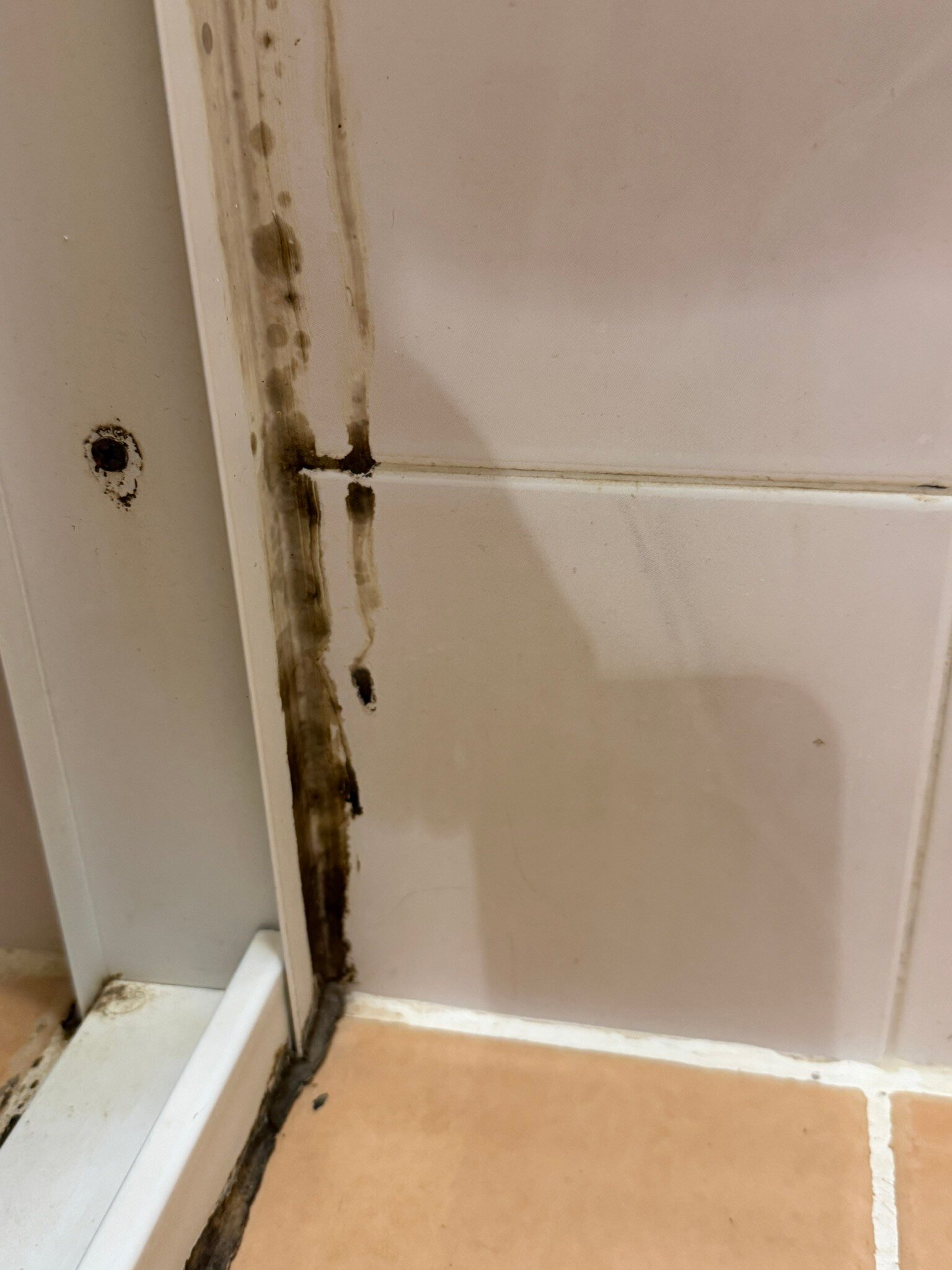 西必洛森林度假村-官方