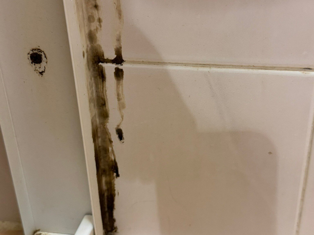 西必洛森林度假村主图