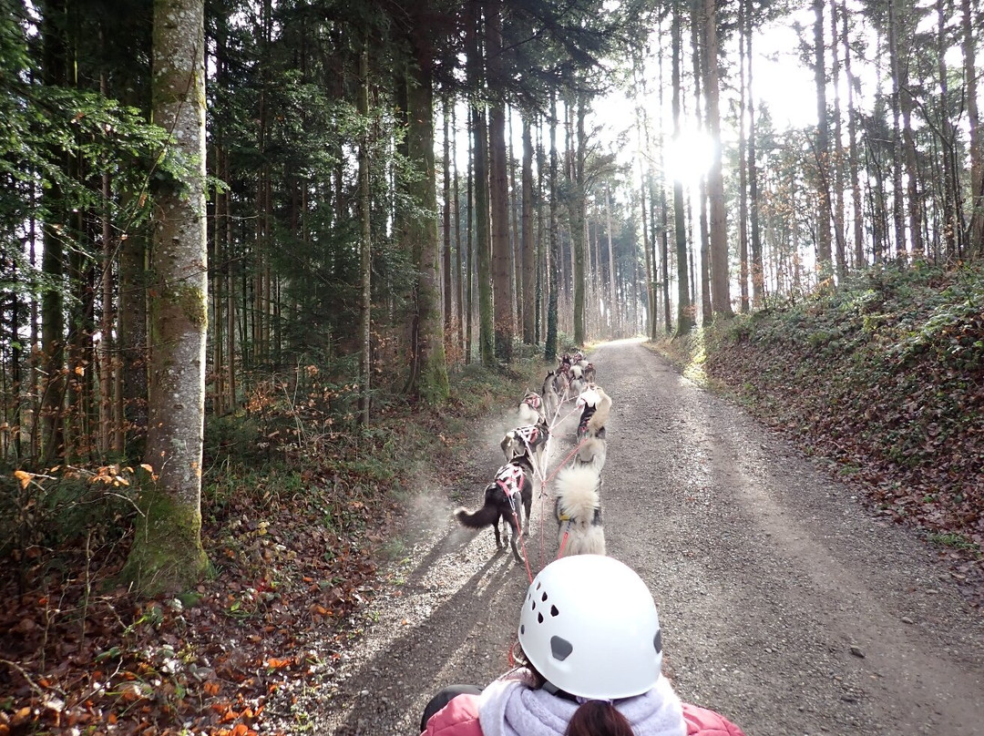 Fischer Adventures Day Tours-圣加仑必去景点